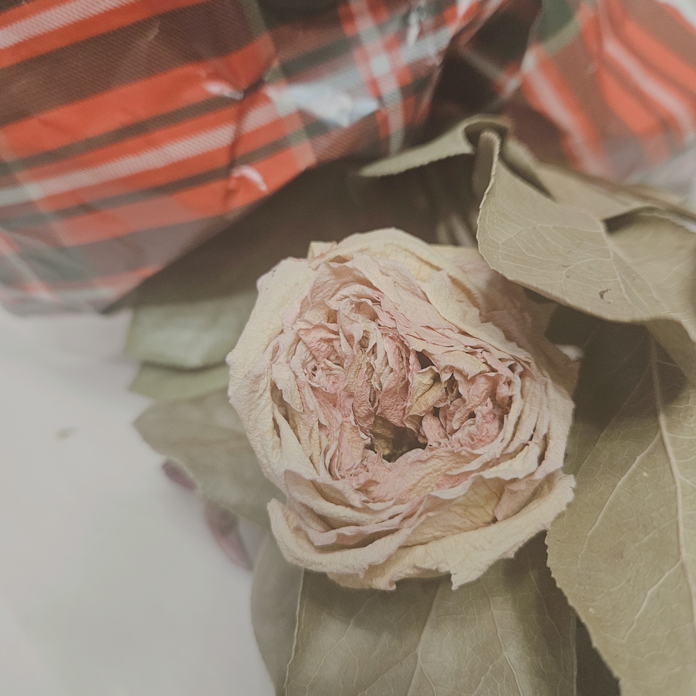 💜 Elegant Dried Floral Bouquet with Plaid Wrap Eco-Friendly Floral Petals